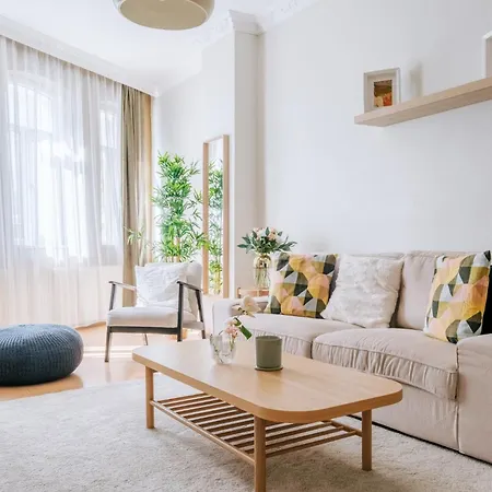 Chic Spacious Flat Near Istiklal Avenue In Beyoglu Apartment